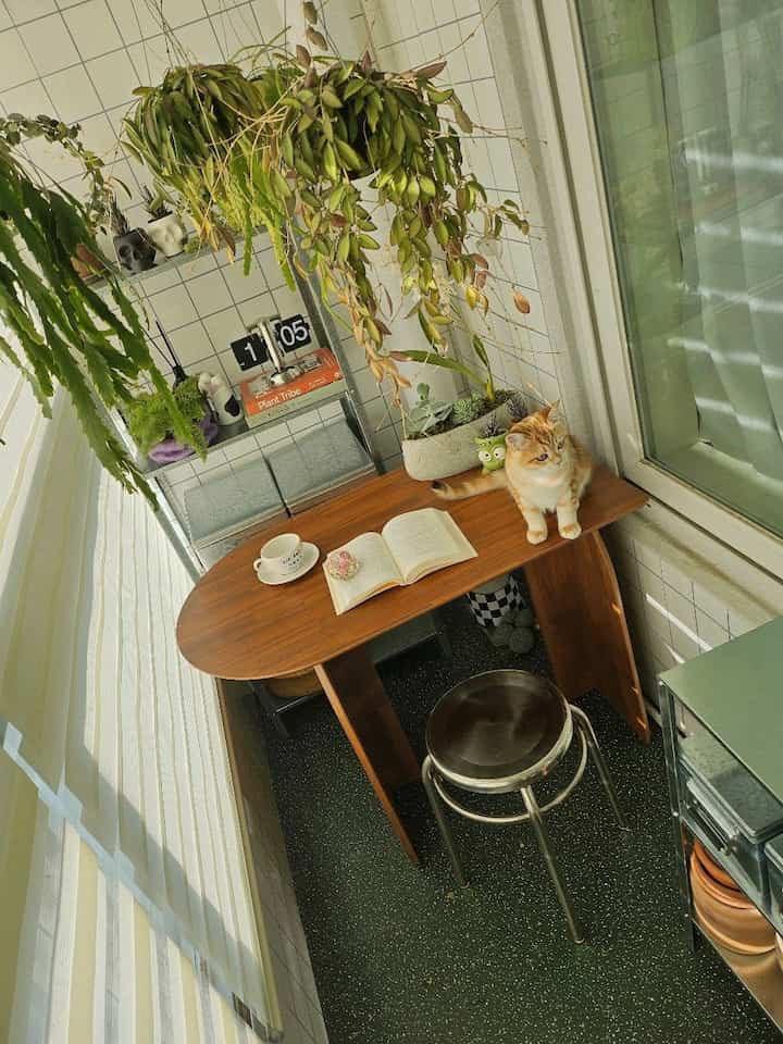 ウッドトーンと黒い床のベランダ空間、ペットの猫と植物が置かれた居心地の良いホームオフィス風の小さな作業スペース