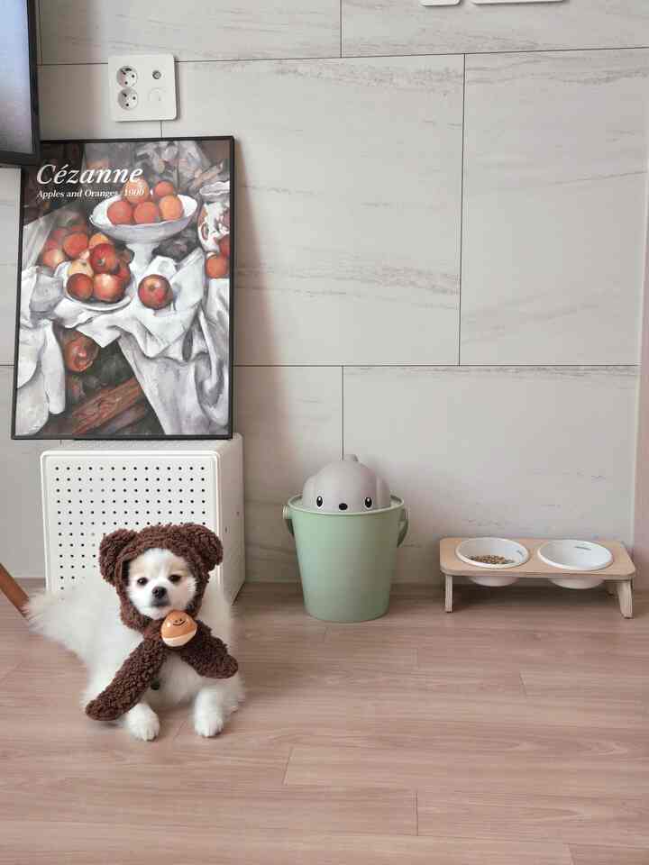 木目調の床と明るい壁のリビング、犬とポスターが配置された温かみのある雰囲気のインテリア