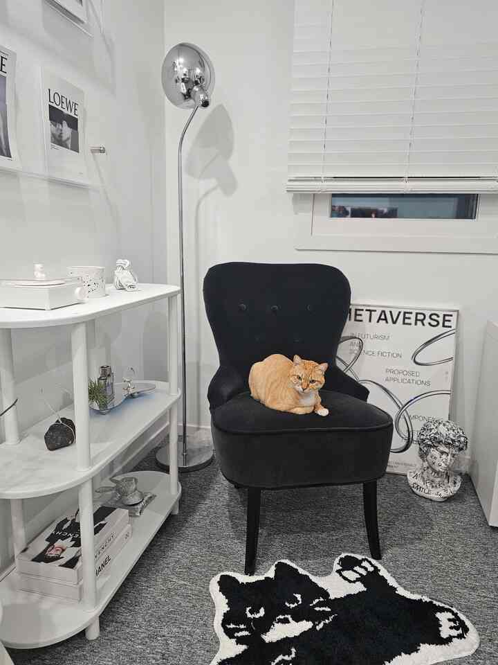 ミラー トレイを使ったコーディネート 2