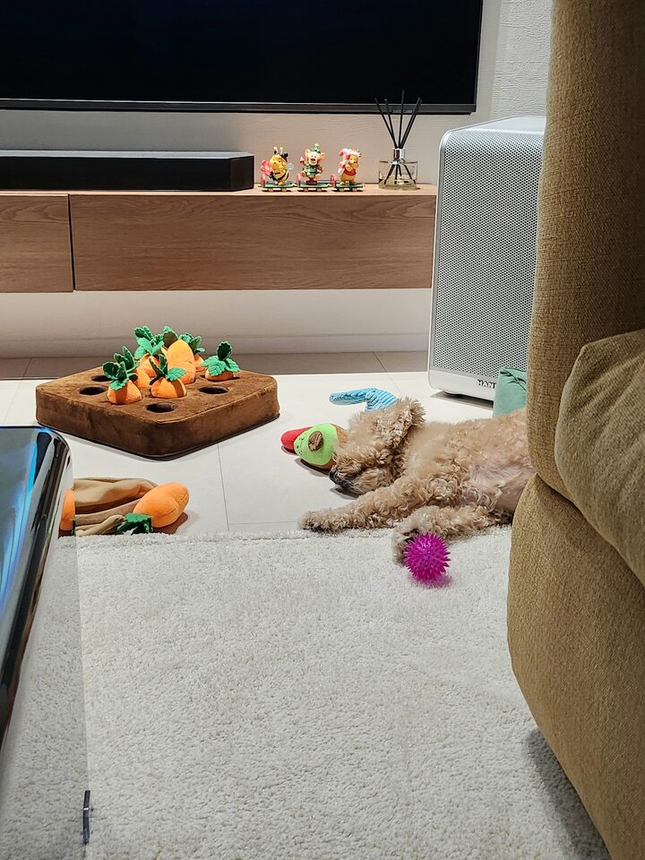 short form carousel card thumbnail