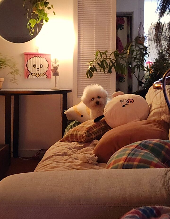 short form carousel card thumbnail