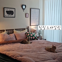 #침실스타일링 #콘수프기록 #침실 #침대 #안방인테리어
침실 공간 분위기를 바꿔봤어요 🩷 봄이 다가오니 변화를 주고 싶더라고요:) 집에 있던 액자들 소품들 배치도 바꿔봤답니다 🥰 차분한 느낌에서 또 다른 분위기로 변신한 침실 어떤가요 ! 침구 하나만 바꾸고 집에 있는 소품들 배치만 바꿔줘도 다른 공간으로 변신이 가능하답니다 🫶
#침구 #라지킹 #침구세트 #쿠션커버 #액자 #액자인테리어 #시계 #디아망 #뉴디맨드 #협탁 #아뜨레 #침대협탁 #사이드테이블 #조명 #커튼 #러그 #발렌블랑 #침대프레임 #우드인테리어 #조화 #신혼집 #신혼집인테리어 #고양이 #집사 #맞팔 
