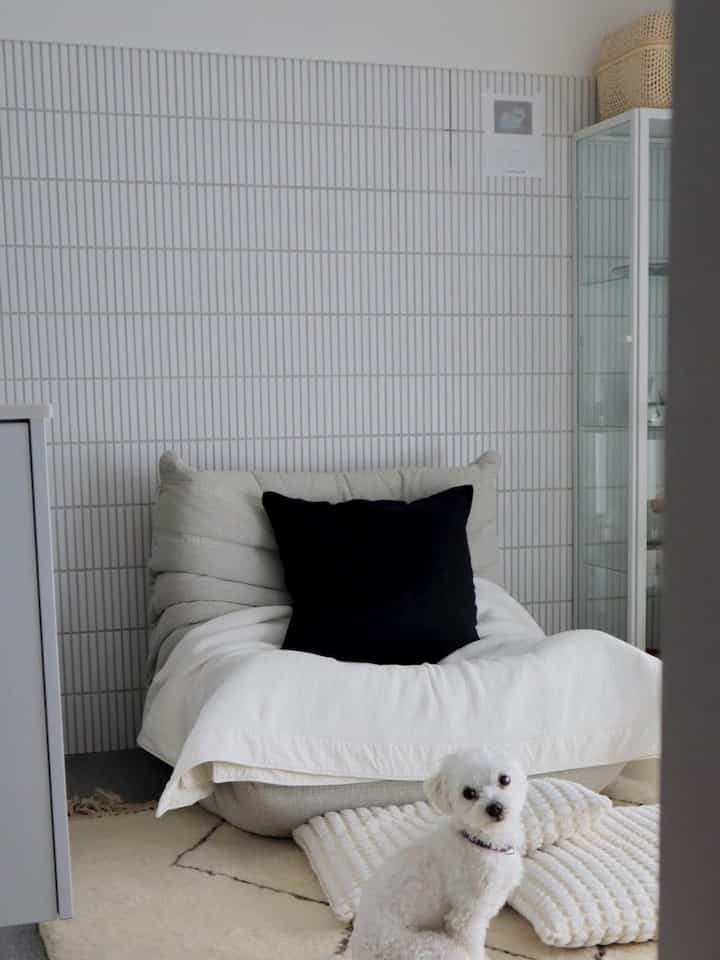 ナチュラルな色調のリビング、明るい壁とソファにクッション、小さな犬がくつろいでいる雰囲気のある空間