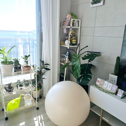 임산부 필수템 짐볼을 구매했어요!!
요즘 오늘의집 세일하는 덕을 톡톡히 보구있답니다💕
그리고 짐볼운동 생각보다 재미있네요? 왜 이제야 샀을까 했답니다😃
#내돈내산 3 #콘수프기록 #짐볼 #임산부 #임산부일상 #내돈내산템 #운동 #임산부운동 #짐볼운동 #출산아이템 #신혼부부 #신혼일상 #거실 #거실인테리어 #거실식테리어 #화이트거실 #식테리어 #몬스테라 #맞팔 #맞팔해요 #소통 #소통해요 #맞팔소통 #환영 #환영해요