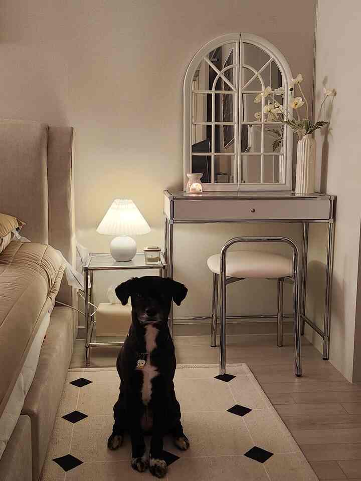Natural toned bedroom featuring beige bed and carpet, metallic vanity with mirror, and a dog sitting comfortably