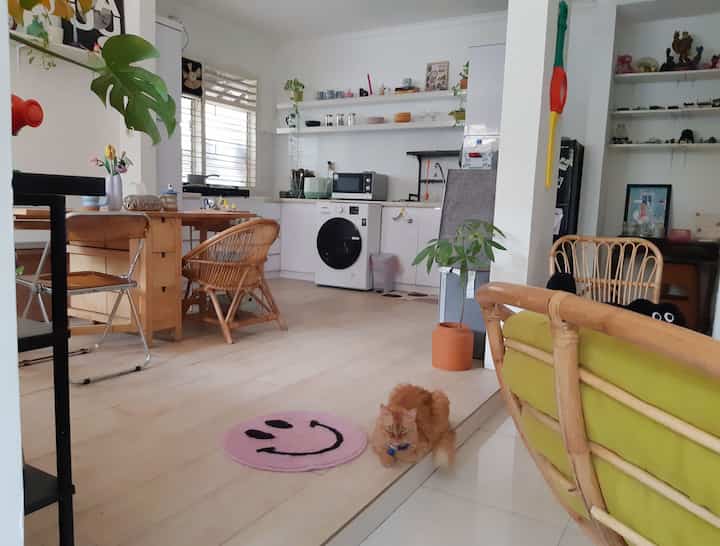 Beige and natural toned studio apartment kitchen and living space featuring a cat and rattan furniture with a cozy atmosphere