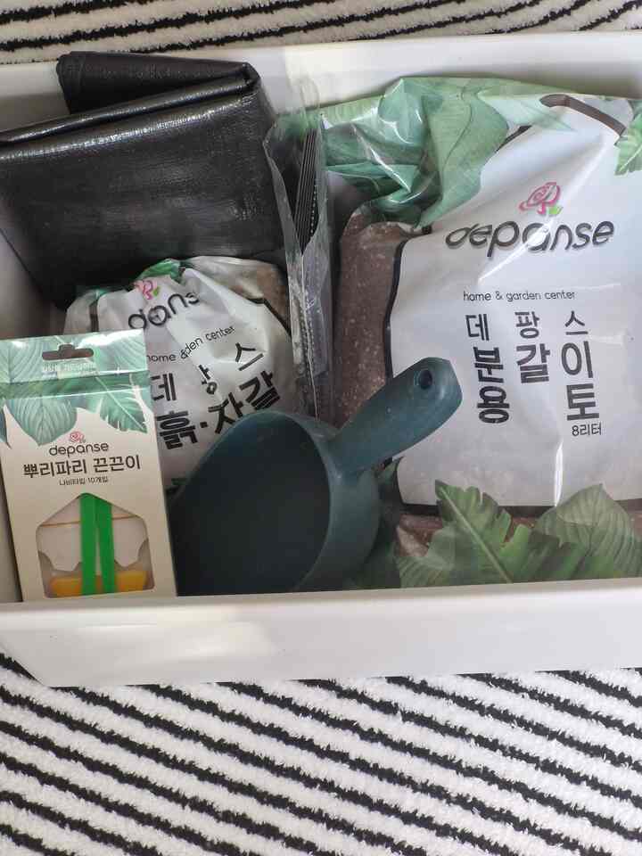 ＃私のお金を買う＃コンスープ記録ガーデニンググッズ

＃植物日記＃植物育成＃植物飼育準備