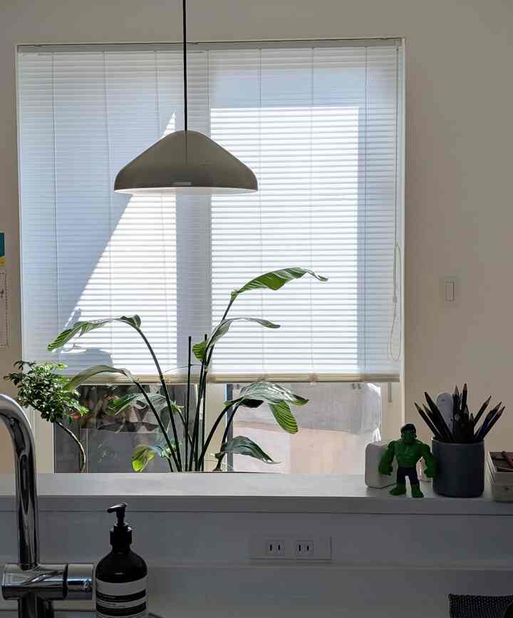 Bright white-toned kitchen space featuring a central pendant light, blinds, and a leafy plant placed in front, creating a clean atmosphere