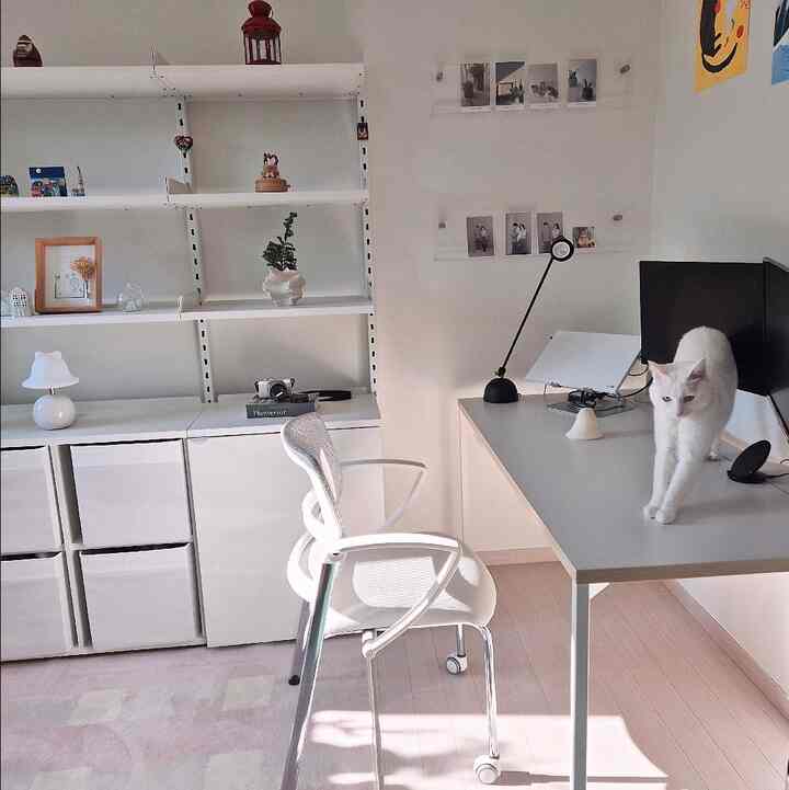 明るいホワイトトーンの書斎、白い机と椅子、本棚には本、机の上には猫がいるミニマルなインテリア