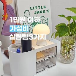 #가성비살림템 
1만원 이하 가성비 살림템 3가지 소개해드릴게요!
1️⃣ HICKIES 2단서랍함 
₩4,800 사무용품 화장용품 수납하기 넘 좋죠!
볼펜이나 붓 꽂아두기 넘 편하고요
면봉이나 화장솜 정리하기도 좋아요
배송비가 있기는 하지만 알차게 수납하기 좋아서 추천🤍
2️⃣ 다이소 심플 수납함
₩3,000 펜트리에 차곡차곡 정리하기 좋아요!
뚜껑도 있어서 먼지도 안 쌓이고요
손잡이도 있어서 들기 편해요! 불투명해서 더 깔끔!
대신 안이 안보이니 라벨링 해놓으면 좋을듯해요
3️⃣ 다이소 실리콘 국자받침대
₩1,000 요리할때마다 잘 쓰고 있는 받침대
실리콘이라 말랑말랑 열탕 가능하고 좋아요
#2단서랍함 #서랍함 #수납함 #서랍정리함 #정리함추천 
#정리함 #정리정돈 #정리템 #사무용품정리 #화장품정리함 
#다이소추천템 #다이소템 #다이소수납함 #팬트리수납함
#실리콘받침대 #국자받침대 #가성비템 #살림템 #오늘의가든
#맞팔 #소통 #소통해요 