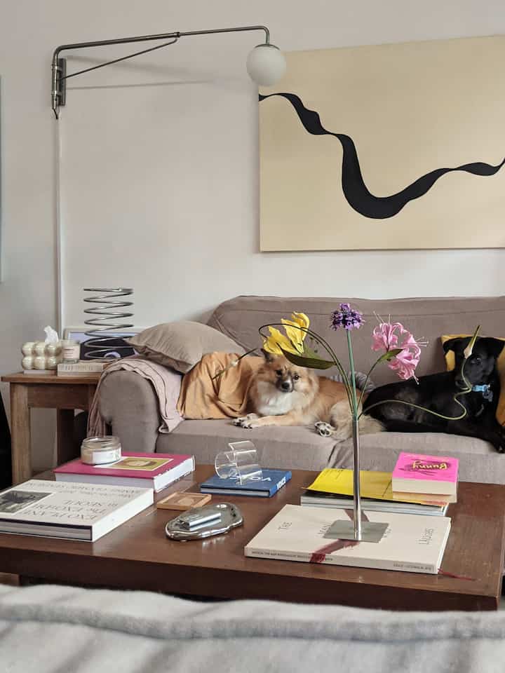Natural-toned living room featuring beige sofa with two dogs and wooden coffee table arranged in cozy space