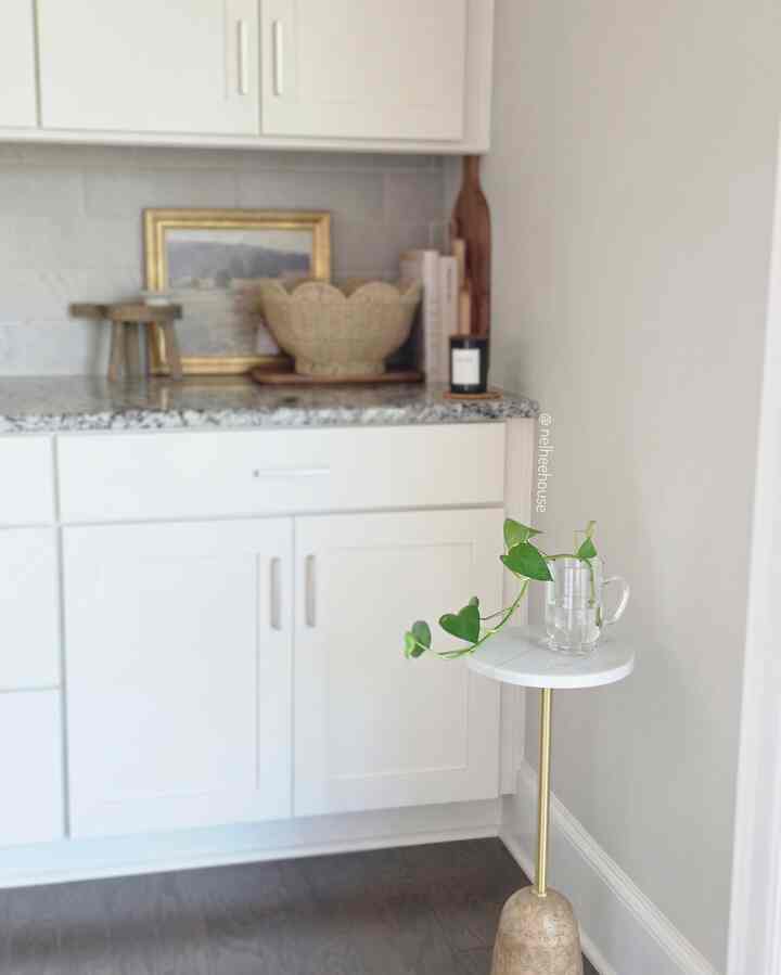 White and natural toned kitchen space featuring simple cabinetry and a green plant accent, creating a cozy atmosphere