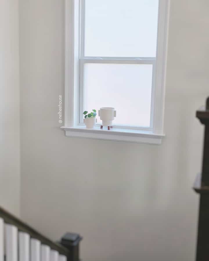 A simple stair window decor 😘
#plant #pot #Planterrier #plantinterior #plant decor #homedecor #stairinterior #stairwindow