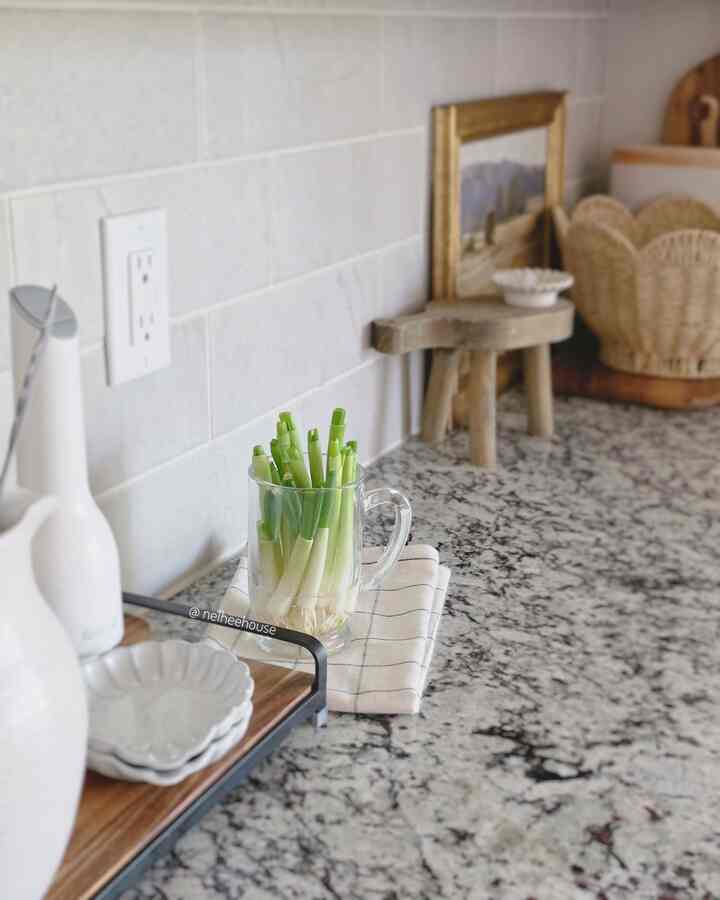 All you need is a glass mug and water to regrow green onions! So simple & easy 🌱

#kitchen #kitchendecor #plantinterior #PlantDeco #kitchendecoration 