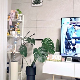 오늘의 우리집 거실🌿
하루하루 디데이가 줄어가는데 아직 아기 나올 기미가 없네요 ㅎㅎ
더 크기전에 신호를 주어야하는데 디데이가 되면 유도분만을 하게될지도 몰라서 무서워요😱 
진통 신호를 위해 매일 만보씩 걷고 짐볼운동도 열심히 하고 있답니다 얼른 만나고 싶어요💕
#오늘의우리집 5 #콘수프기록 #콘수프 #임산부일상 #막달임산부 #곧디데이 #출산 #무서워 #자연분만 #진통언제오나 #열심히운동 #짐볼 #임산부 #임산부운동 #임산부짐볼 #짐볼추천 #짐볼 #만보 #초산 #신혼부부 #맞팔 #맞팔해요 #소통 #소통해요 #맞팔소통 #환영 #환영해요