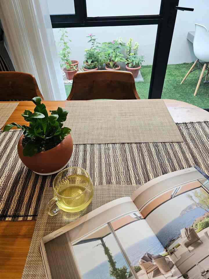 Natural brown wood tone dining room featuring a table with a potted plant and transparent glass coffee mug creating cozy ambiance
