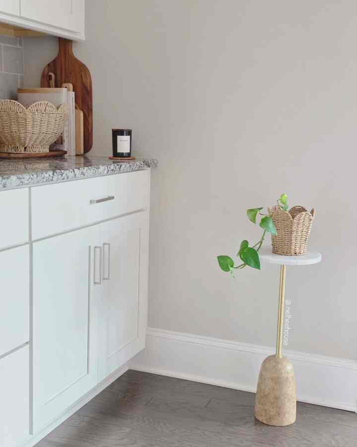 There are so many hidden gems at Target's Dollar Spot!
Such a cute woven basket! $5 well spent 😘

#kitcheninterior #targetfinds #basket #vaseinterior #Planterrier #plantinterior #homedecor 