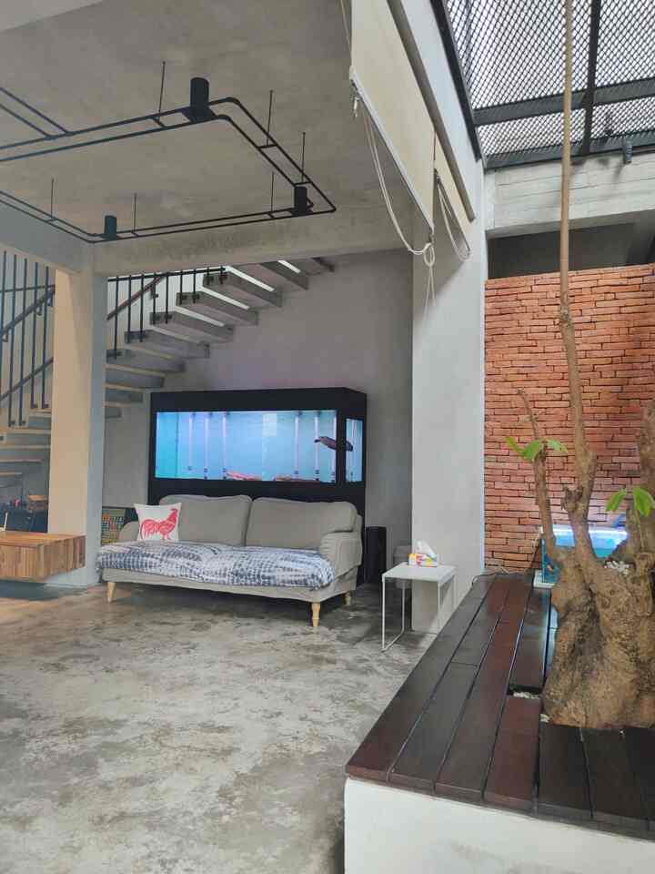 
Tempat favorit ketika libur adalah memboyong sarapan di area foyer. Karena atap terbuka yang tembus balkon dan pintu utama yang besar,membuat ruangan ini mendapatkan sirkulasi udara dan matahari yang baik.
Area foyer kami bangun deck dengan kayu Ulin sebagai alas, ditengahnya kami tanam Pule fosil untuk mempercantik tampilan.
Masih tetap mempertahankan gaya industrial rustic,sudut foyer memakai bata tempel sebagai dinding.

#LantaiSemen #AkuariumBesar #bataTempel #Foyer #MomenDiRumah #InspirasiDekorasi #RuanganFavorit