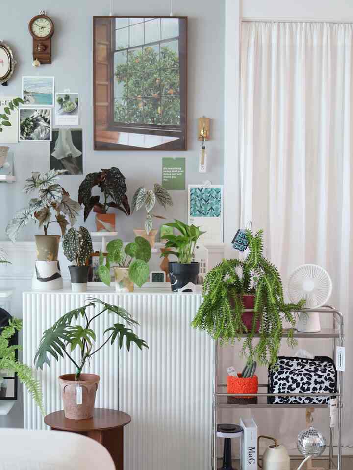 春を迎えるための奴隷が冶金冶金を分ける

＃プランテリア＃植民地時代＃原木家具
＃ビンテージインテリア＃植木鉢インテリア＃棚飾り＃植木鉢
＃空気浄化植物＃植物棚＃植木鉢カバー＃ポスター＃フレームインテリア 
＃リビングコミットメント＃屋内植物＃ホワイトウッド＃原木小道具＃プラスチック植木鉢
＃鉢植えのインテリア＃ソクソン＃トロリー 
＃土分＃ビンテージ＃ハングインプラント＃壁飾り＃スツール＃ウッドシェルフ 