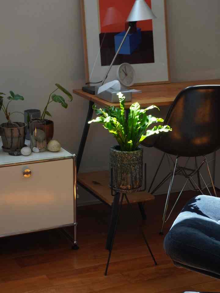 温かみのあるブラウンとシルバーのトーンが特徴のホームオフィス、木製の机と植物が配置された自然光あふれるモダンなインテリア