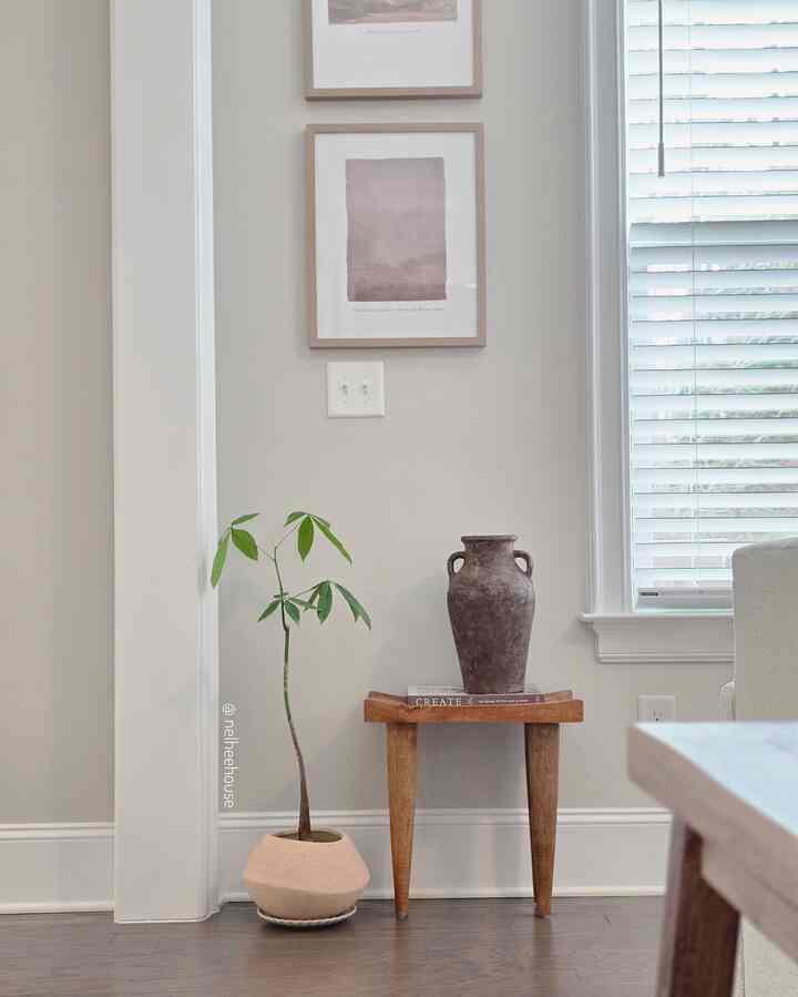 Pachira lover 🌱
#pachira #plant #Planterrier #plantinterior #vase #livingroominterior #livingroomplant #minimalinterior #minimal #livingroomdecoration 