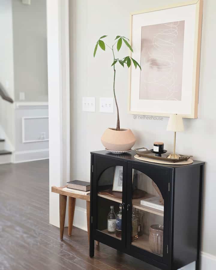 Natural-toned entry space featuring a black cabinet topped with a beige planter and tall plant