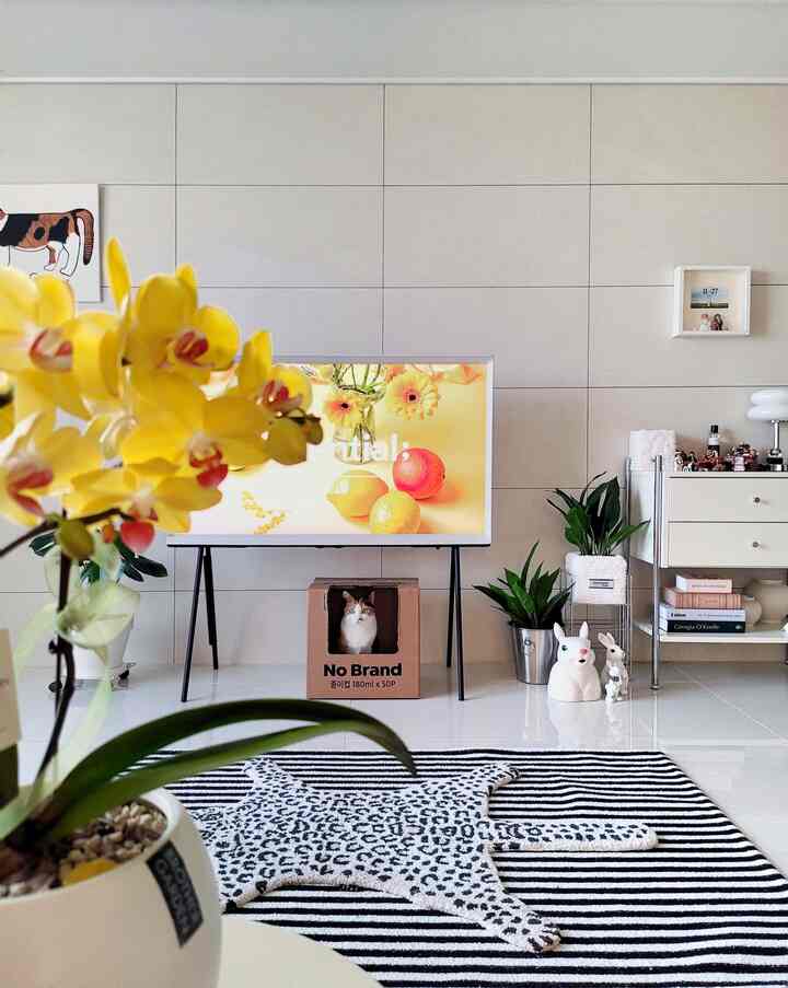 White and gray toned living room with central TV stand and striped rug, featuring a cat sitting inside a box at the bottom, in a modern setting