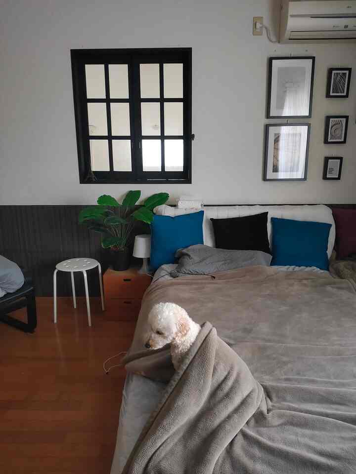 ナチュラルでモダンな寝室、黒い窓枠とベージュの寝具、毛布に包まれたペットがいる落ち着いた空間