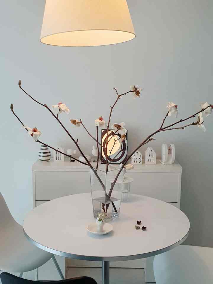 #今日のカット

もう残念ながら送らなければならないモクレン
数日間あなたを見て幸せでした~~💗
送ろうと春を過ごすみたいでなんだか綺麗になる。
細かいほこりのない清楚な春を楽しみにして、もう少し雨
降りてほしいと願っています〜🔅


＃今日のシーンカット＃コンスープ記録
＃リビングインテリア＃リビングテーブル＃リビング飾り＃リビングスタイル 
＃照明インテリア＃照明おすすめ＃照明スタンド＃照明効果 
＃花インテリア＃花スターグラム＃花スタイル 
＃ホワイトインテリア＃モダンインテリア＃ホームスターグラム＃ホームスタイリング 
#ホームデコ #livingroomdecor #livingroom #lifestyle
#livingroominterior 