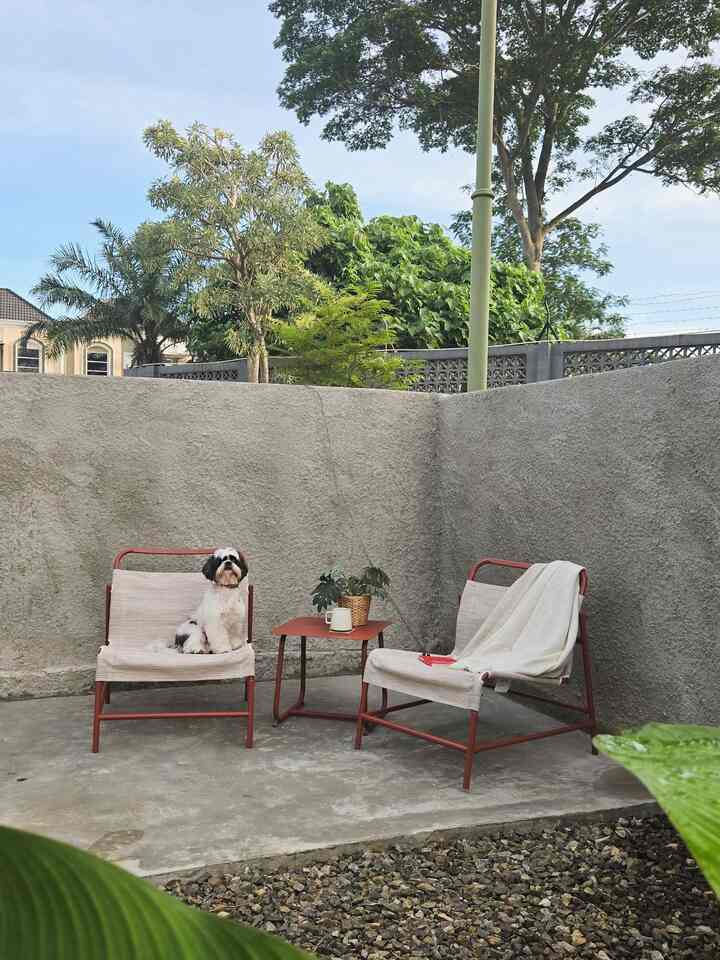 Gray cement-walled terrace featuring two red-framed armchairs and a small table, with a dog sitting on one chair amid greenery