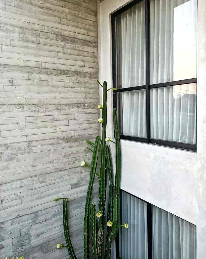 Bermain dengan material ekspose yaitu kayu,semen dan batu bata.Membuat rumah ini tampak lebih natural.
Meminimalkan perawatan karena tidak harus segera cat ulang.
Tertarik dengan ide tampilan ekspose ?! harus siap dengan warna kusam atau kadang sedikit lumut di musim hujan
#Fasade #ideFasad #TembokSemen #BatuBata #Terasrumah #LantaiKayu #InnerCourt #TamanIndoor #IdeSirkulasiUdara #RumahIndustrial