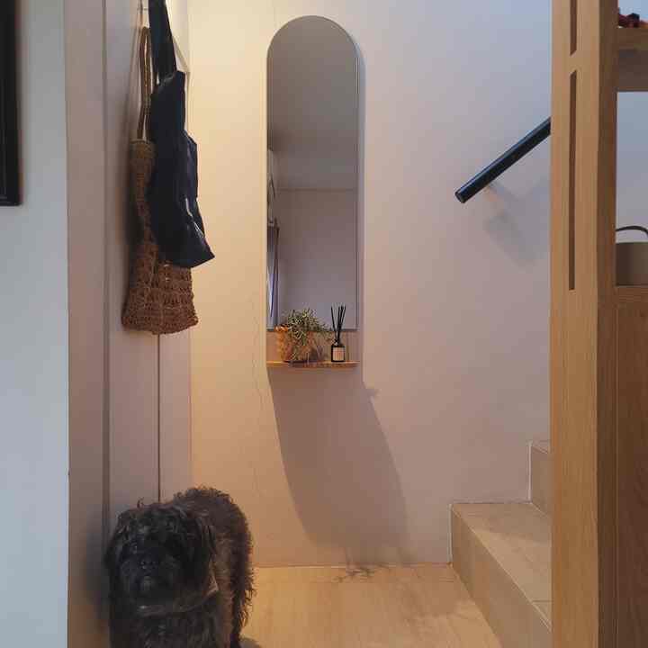 White-walled, wood-toned narrow entrance featuring a tall arched mirror with a plant shelf, and a dog standing on the left side