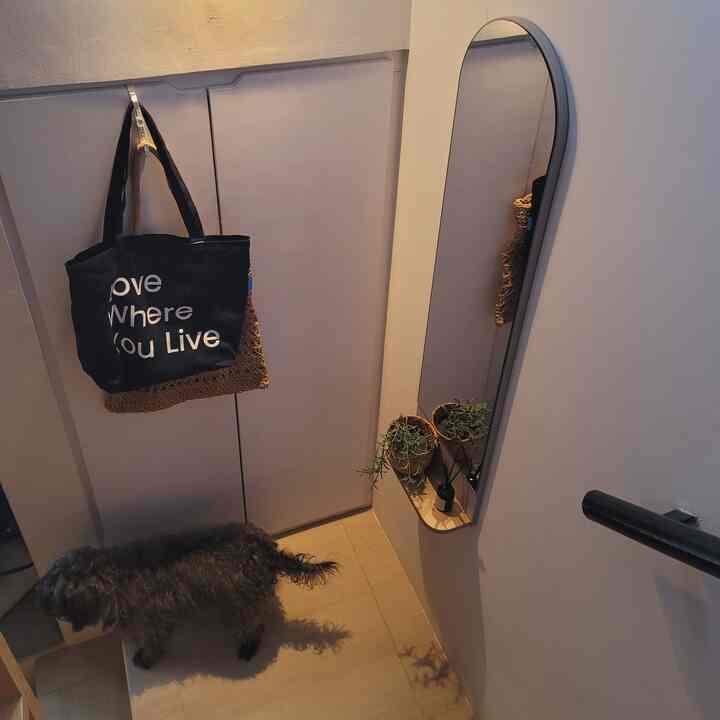 White and beige toned narrow entrance featuring a wall mirror, hanging bags, and a small dog on the floor creating a cozy atmosphere
