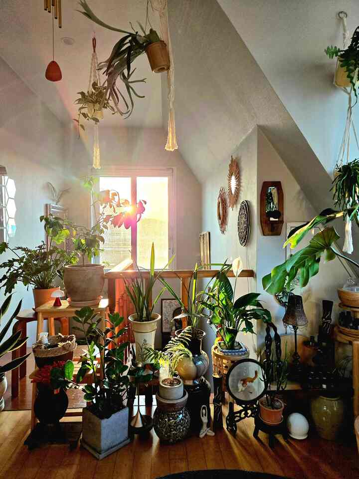 #昼夜のない家

昼夜もなく空間を整える理由ひとつ、
私の気持ちを膨らませないでください。
。
。
。
＃二階建て＃二階建て＃二階建てのインテリア 
#マキシマリストのミニマルライフ
＃家のスタイル＃家の装飾＃インテリア＃ホームスタイリング＃ホームデコ
＃プランテリア＃ハングインプラント＃植物インテリア＃植民地時代
#interior #homestyling #homedecor
#planterior #hangingplants #plantdecor #indoorplants #livingwithplants