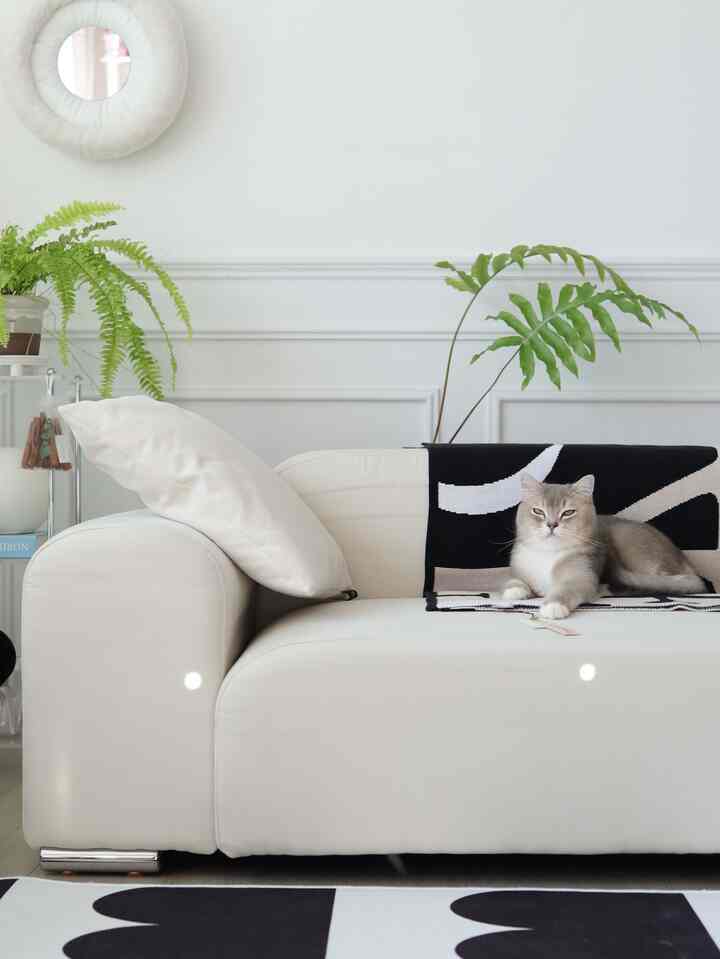 白を基調としたリビング、中央のソファに猫がくつろぎ、植物が配置されたミニマルでモダンな雰囲気のあるインテリア
