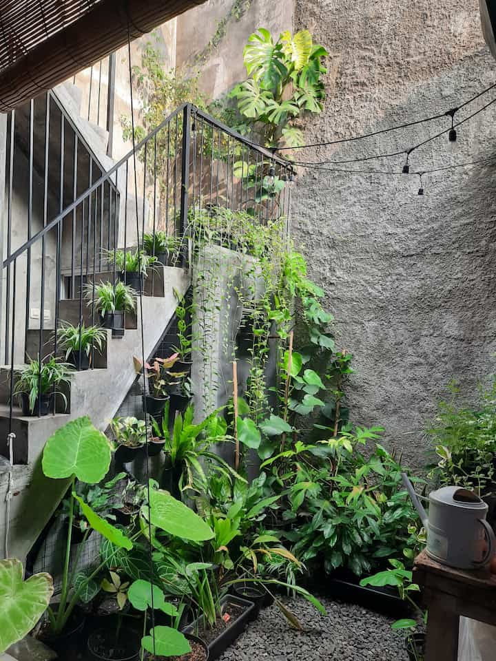 When architecture meet nature. Inilah courtyard yang sering kami sebut Healing Garden.
Walaupun rumah kami awalnya rumah kecil standar developer tipe 36, tapi kami tetap mengusahakan adanya taman di tengah rumah atau yang biasa disebut courtyard.
Healing garden menjadi penyejuk rumah apalagi rumah kami berada pada daerah panas. Ngeteh sore sambil menikmati healimg garden ini memberi ketenangan dan ketentraman dalam jiwa. 🥰
#courtyarddesign #courtyardidea #healinggarden #tamantengahrumah #desaintaman

