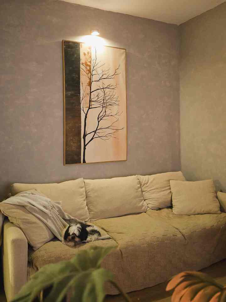 Beige sofa living room featuring a wall sconce and a dog resting comfortably on the sofa, cozy atmosphere