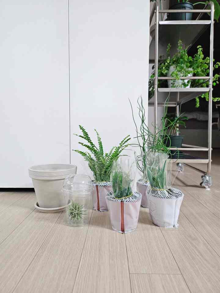 春のお祝いで緑をいくつか購入してみました。 
植物をインターネットで購入したのはほぼ初めてのようですが、とても丁寧に包装をよくしてくれて本当にきれいに到着しました。 

昨日はとても忙しくて梱包もできなくて取り出してだけ置いたのですが、もう開けてどこに置くか考えてみてください。 

みんな昼食をお召し上がりください。

#ネドンナサン3 #コンスプ記録
＃カッパー＃カッコウ歓迎💚💚＃今日のガーデン＃植物＃甲ゾネ＃植木鉢＃植物インテリア＃フレンテリア＃植物を育てる＃植物ゾーン＃植物おすすめ＃植物のインテリア＃家の装飾＃リビング＃リビングの飾り 