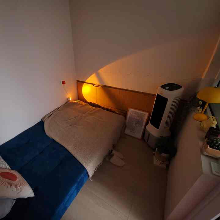 A small single household living room with blue and beige tones featuring a sofa bed, creating a cozy and compact space