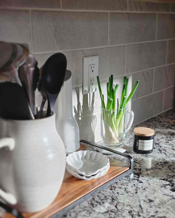 Spring morning sun & green pop of color in my kitchen 💚

#springdecor #planterrior #plants #kitcheninterior #kitchendecor #popofcolor #kitchendecoration