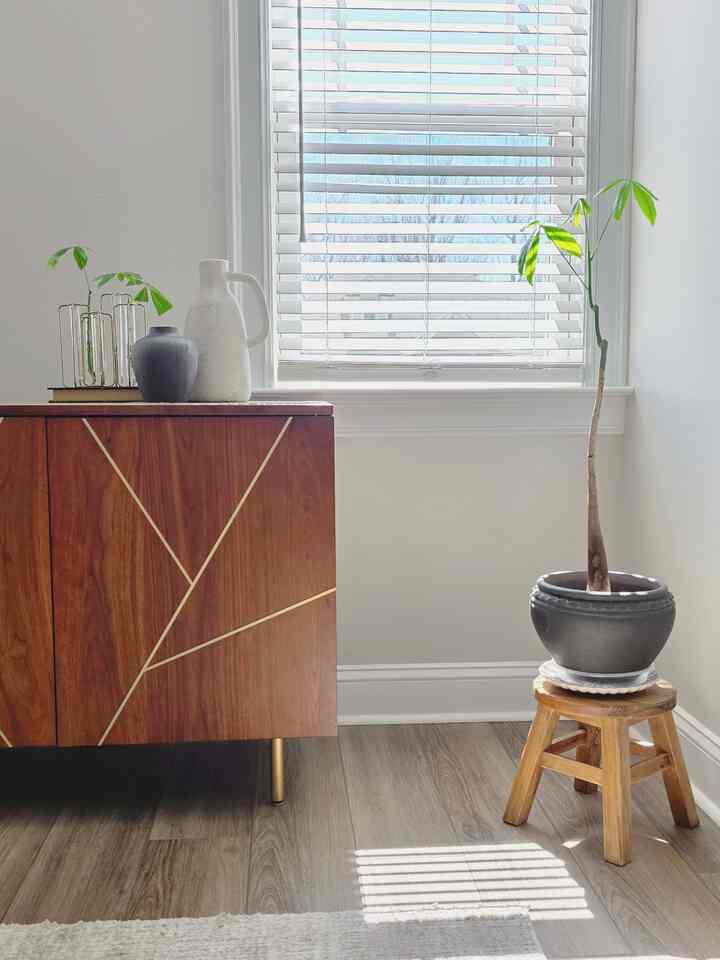 Green, a pop of color, in neutral home 💚

#Planterrier #plants #woodenfurniture #neutral #earthy #springdecor