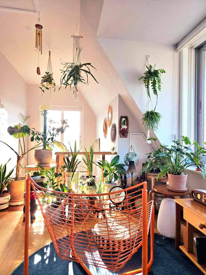 ＃私たちの家のインテリア記録＃コンスープ記録 

1. とても森が好きだった子供は、カーソルで自分のアジトを小さな森にするようになりました。 
2. この空間に数々のインスピレーションを受け、フリーランスのアーティストとして生きています。 
3. 'アジト'とインスピレーションを与えるという'ミューズ'を合わせて<ミューズトMuse't>という名前を付けて愛情を加えます。
。
。
。
＃二階建て＃二階建て＃二階建てのインテリア 
#マキシマリストのミニマルライフ
#homesweethome #ホームスターグラム #家飾り #インテリア #ホームスタイリング #ホームデコ #プランテリア
#interior #homestyling #homedecor
#planterior #hangingplants #plantdecor #indoorplants #livingwithplants
