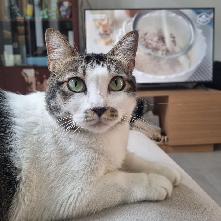 short form carousel card thumbnail