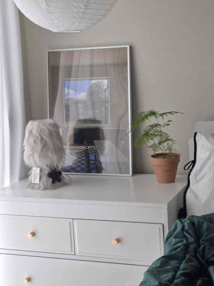 ホワイト+グリーンで飾られた内方🌱🤍
＃私たちの家のポイントカラー＃ホワイト＃グリーン＃小さな部屋＃部屋＃飾る＃インテリア＃引き出し＃収納シート＃収納＃フレーム＃フレーム＃収納ベッド＃ベッド＃ベッドルーム＃ベッドフレーム＃バンカーベッド＃ワンルーム＃ポスター＃ファー照明#ハンジライト #土分 #鉢植え 