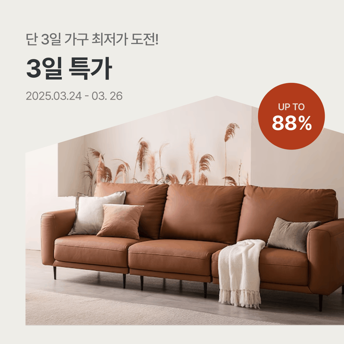 가구 3일특가 | 오늘의집 쇼핑