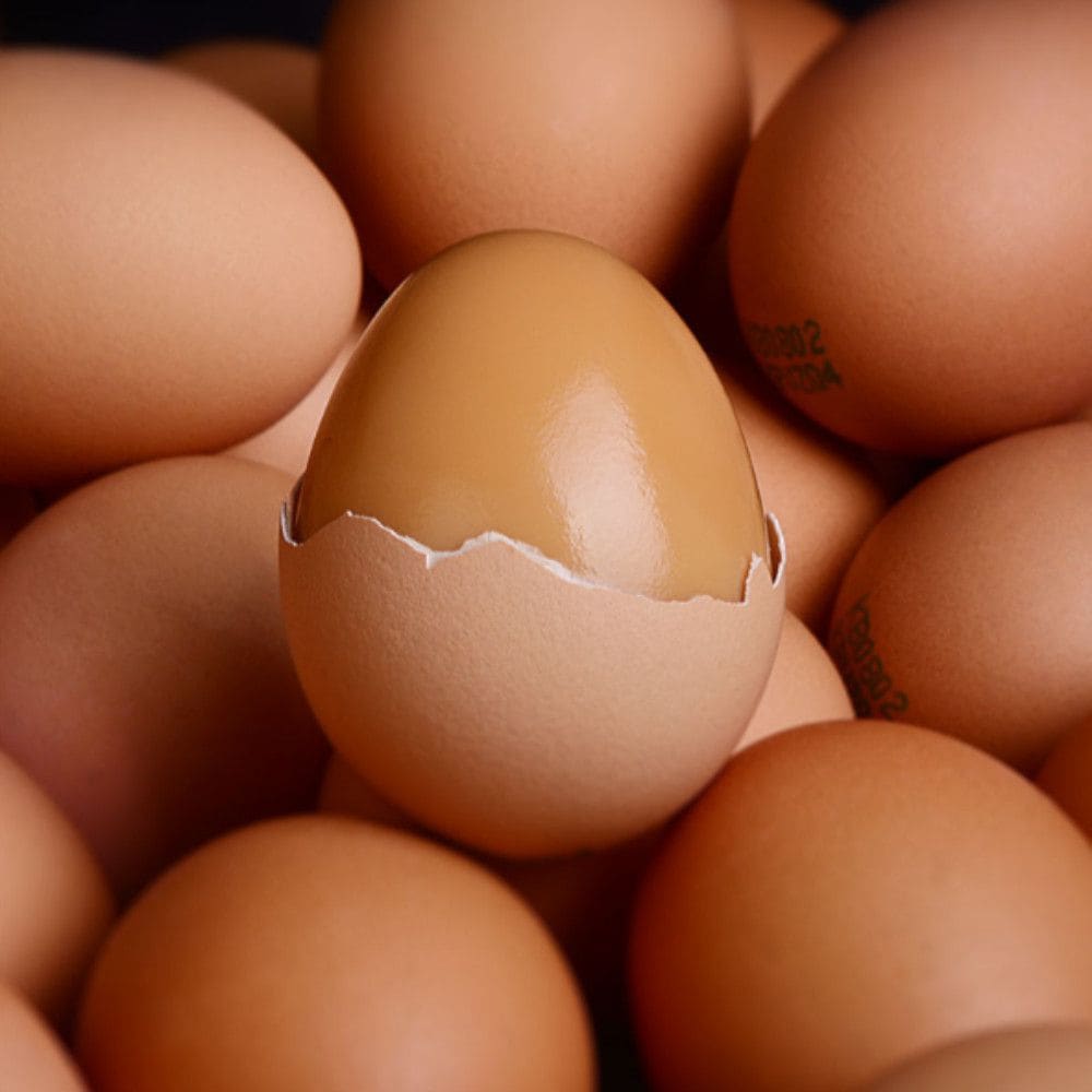 [오늘출발][신상품]청라 무항생제 국가대표 명품 구운계란 30구/60구/90구/120구 - 무항생제 구운계란30구