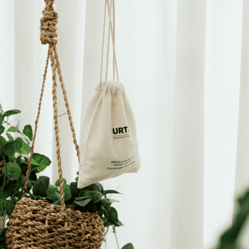 유르테 베이크아웃볼 포레스트 그린 셀프 새집증후군 새집 새가구 페인트 냄새 제거 방법 200g - 베이크아웃볼 그린 3개