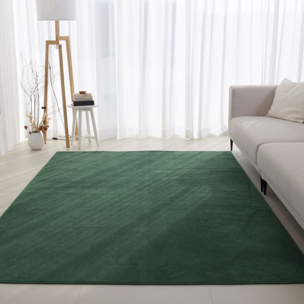 [오늘출발] [신상품] 온결 먼지없는 워셔블 단모 사각 러그 카페트 - 그린_200x300(대형)