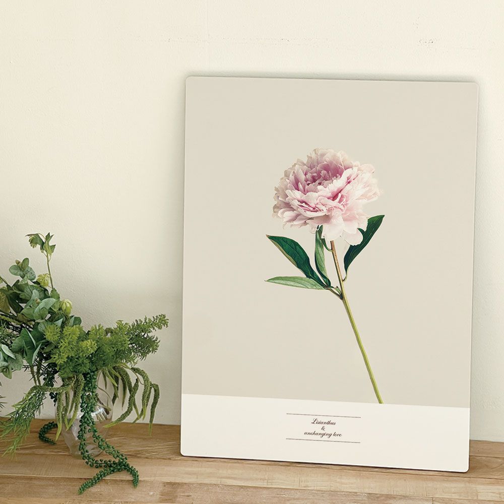 [오늘출발] [신상품] 오홀리브 접이식 액자테이블 리시안셔스 3size - 중(72x48) 리시안셔스_27cm기본다리