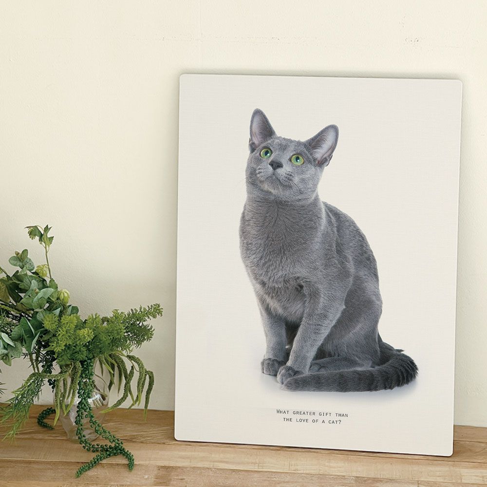 [오늘출발] [신상품] 오홀리브 접이식 액자테이블 러시안블루 3size - 대(80x60) 러시안블루_27cm기본다리